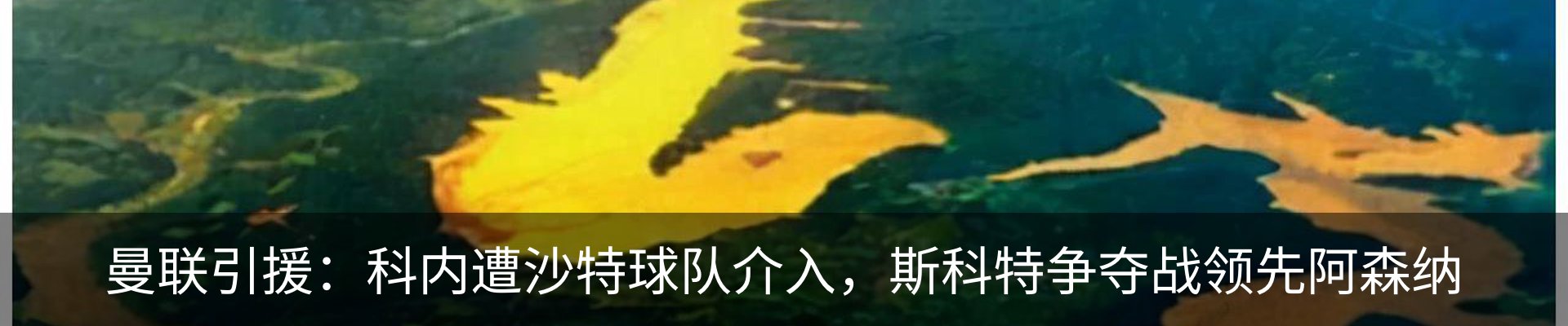 资讯中心